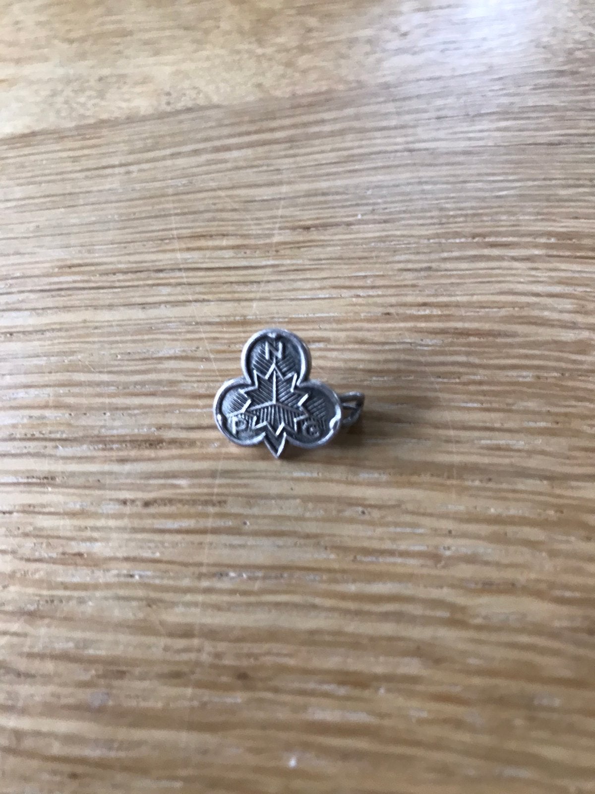 Speldje/broche NPG, Ophalen of Verzenden, Gebruikt, Embleem, Speld of Insigne