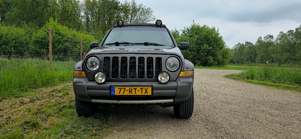 Jeep Cherokee Renegade 2.8 CRD AUT 2005, Automaat, Beige, 4 cilinders, Bruin