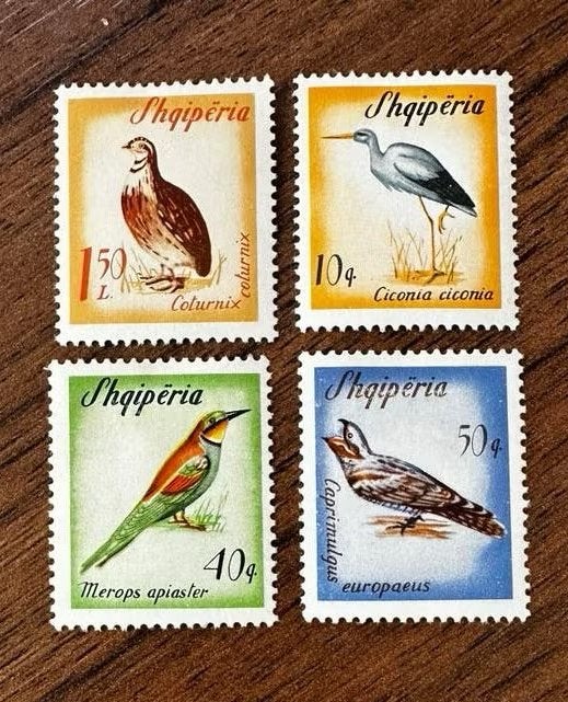 Albanië 1965 Vogels - Prachtige ongebruikte postzeg, Ophalen of Verzenden, Overige landen