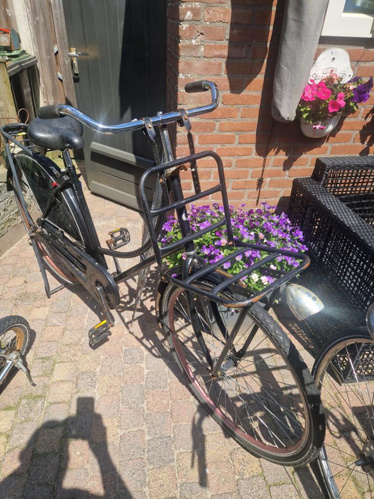 Omafiets, 53 tot 56 cm, Ophalen, Gebruikt, Overige merken