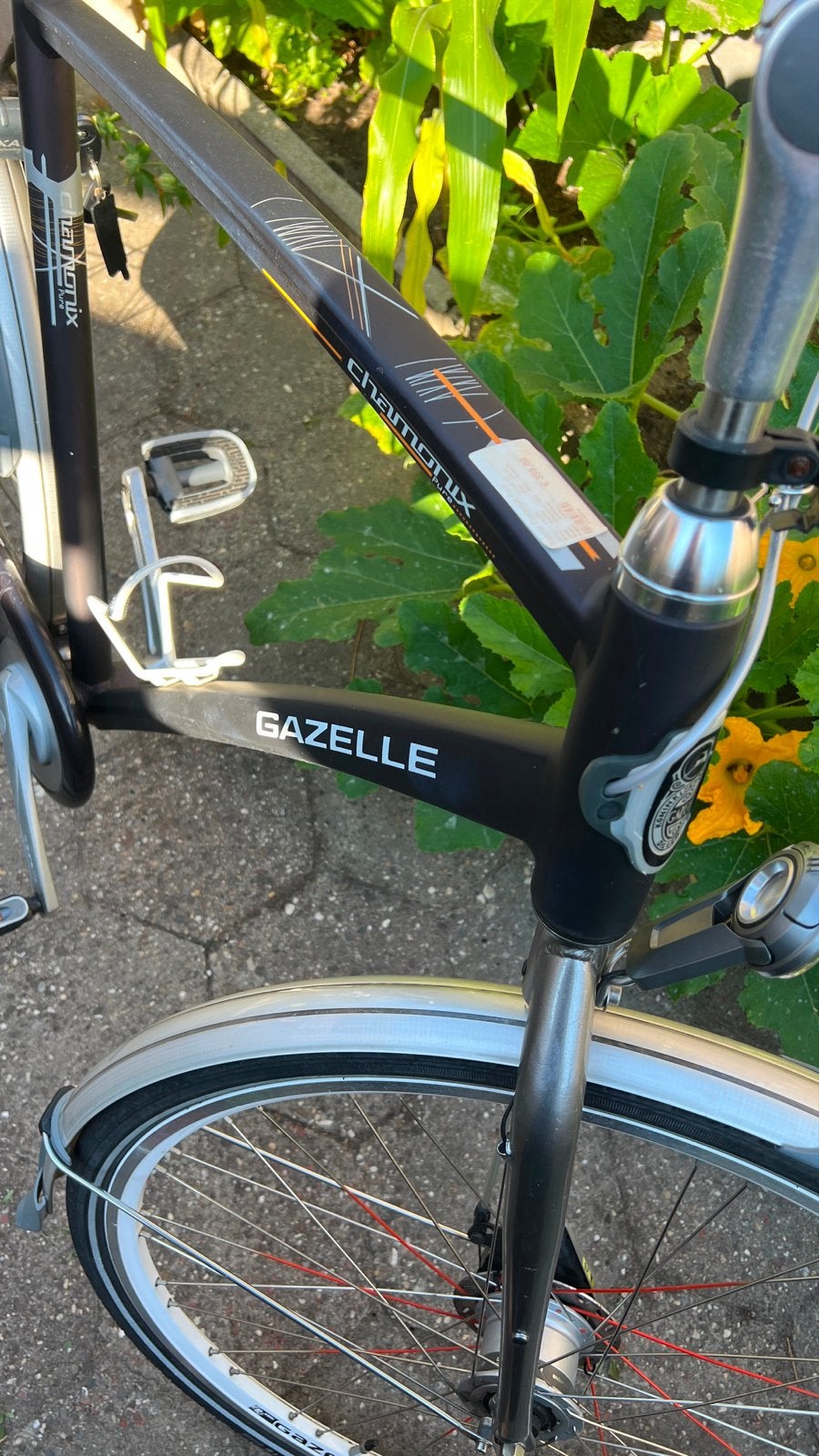 Gazelle Chamonix fiets - Comfortabel en betrouwbaar, Ophalen