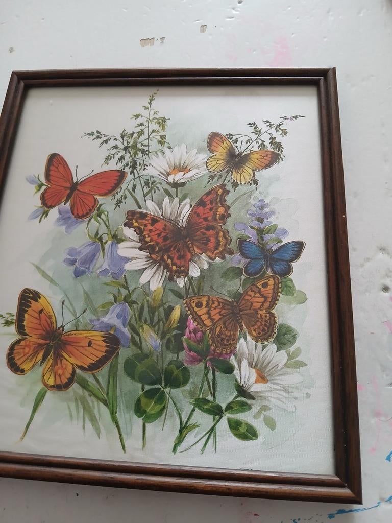 Prachtige  schilderijtje, Ophalen of Verzenden, Schilderij