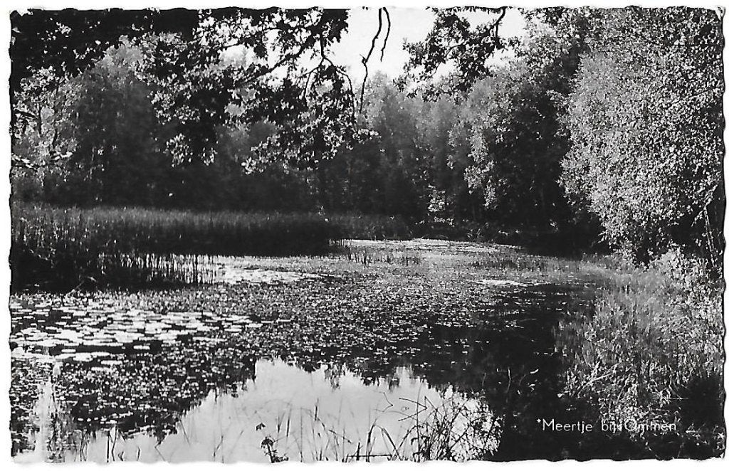 Ommen meertje Oude Gelopen Ansichtkaart ( 8557 ), Ophalen of Verzenden, 1960 tot 1980, Gelopen, Overijssel