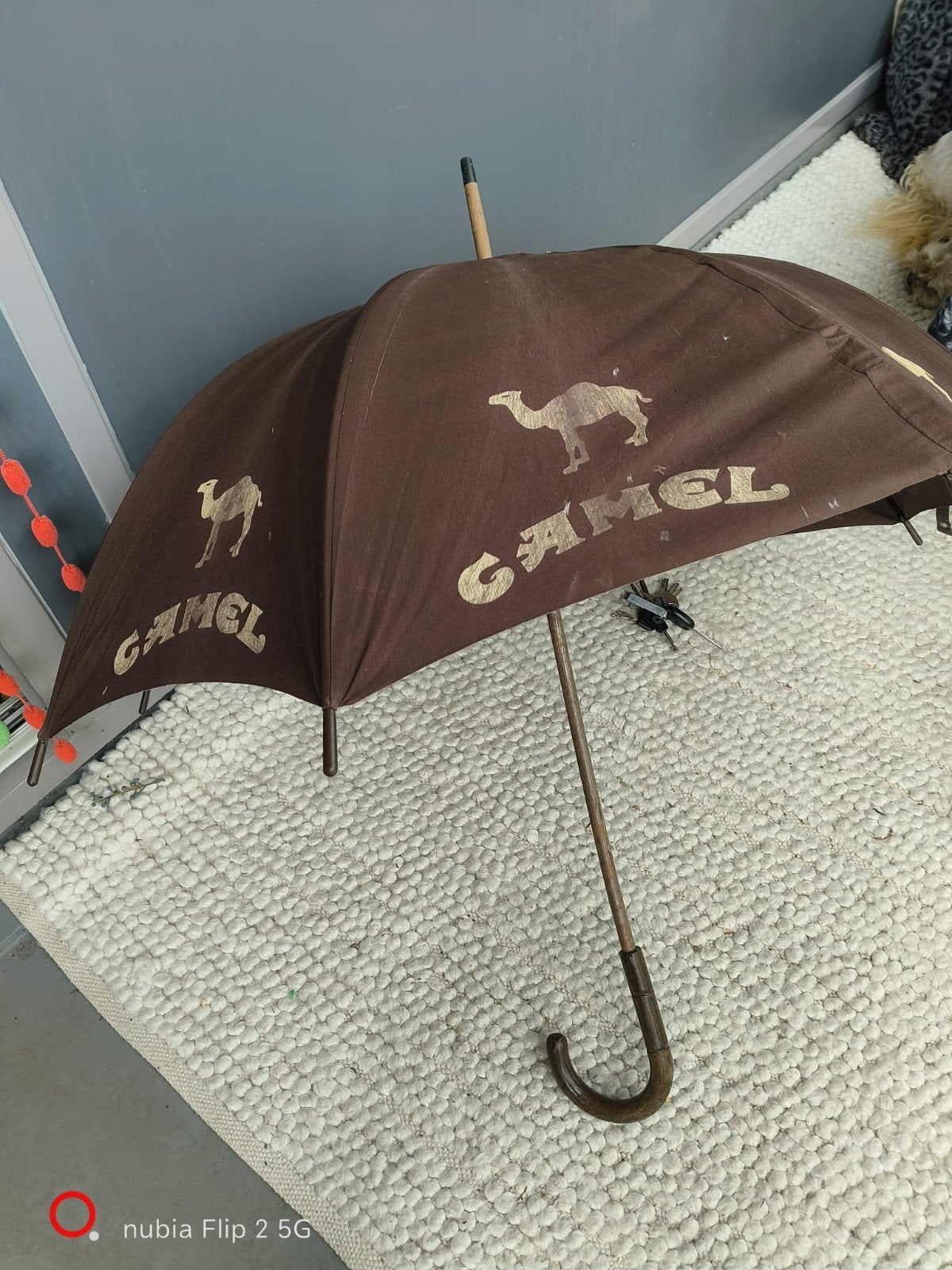 Camel paraplu/parasol., Ophalen