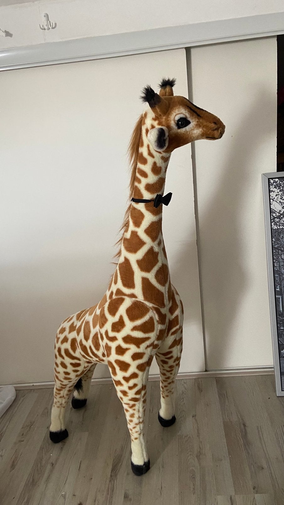 Dieren voor kinderkamer, Kinderen en Baby's, Kinderkamer | Inrichting en Decoratie, Ophalen, Gebruikt, Wanddecoratie