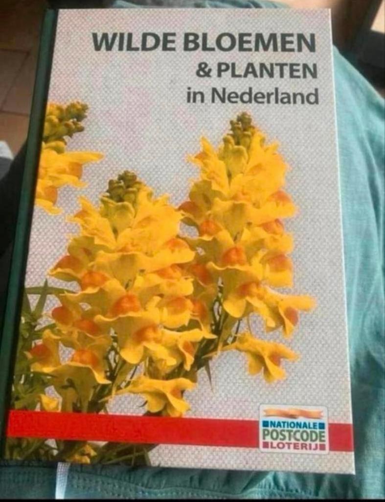 Wilde bloemen en planten boek, Ophalen of Verzenden, Nieuw, Bloemen, Planten en Bomen
