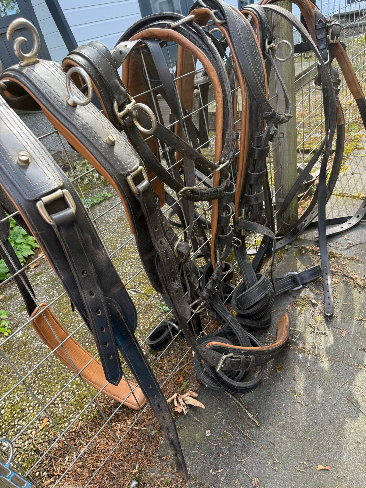 Twee span tuig, Ophalen, Gebruikt, Overige disciplines
