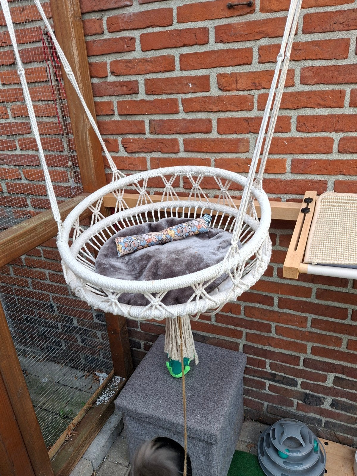 hang schommel voor katten, Ophalen of Verzenden
