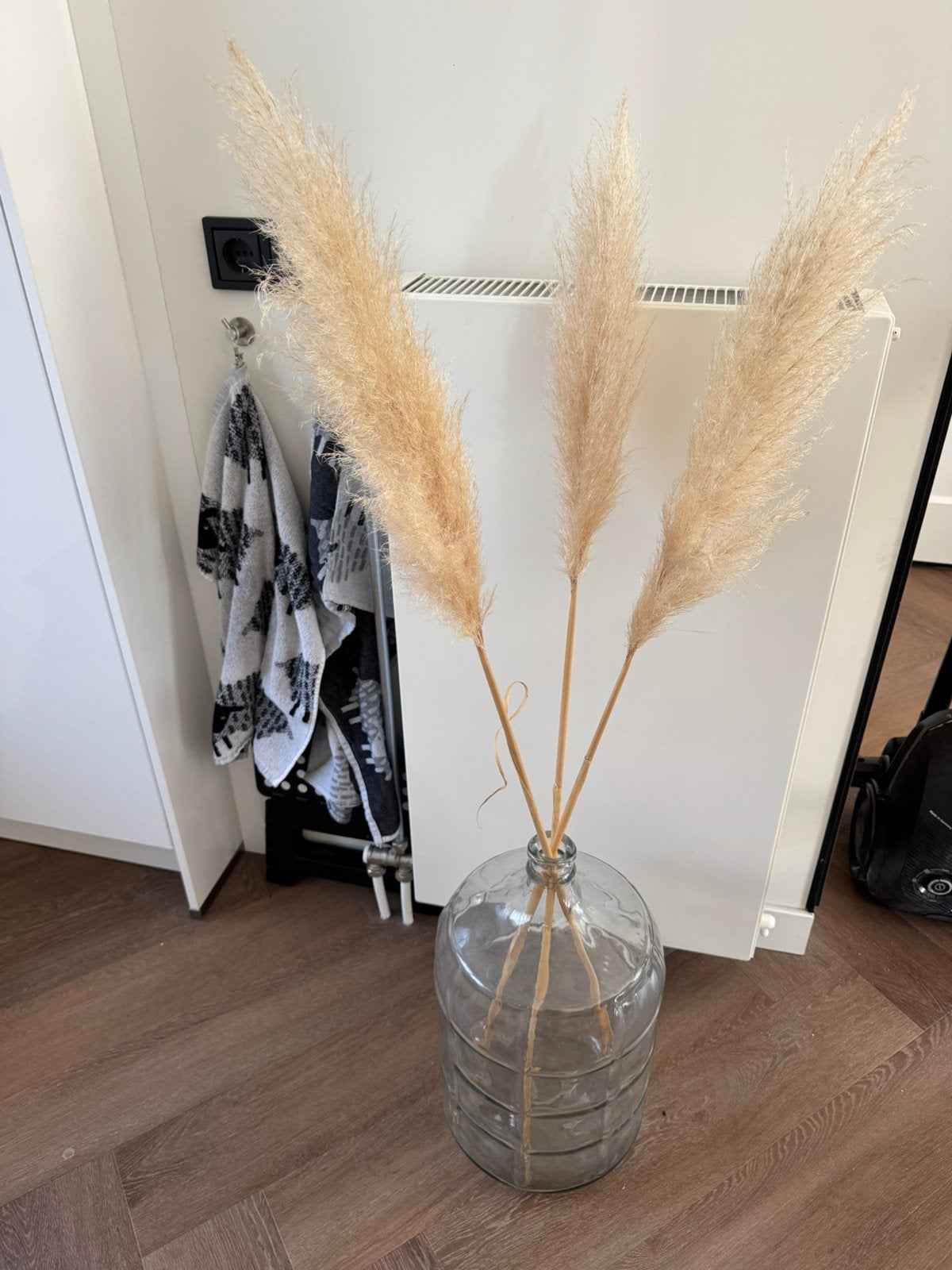 Glazen vaas met pluimen, Ophalen, Zo goed als nieuw