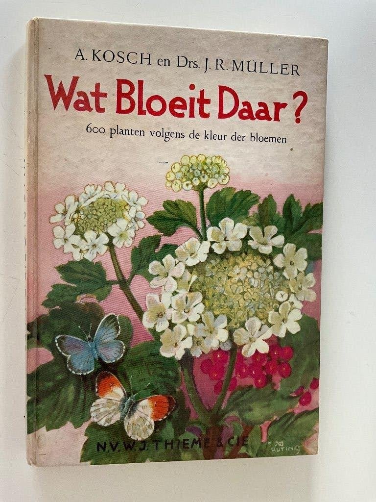 A. Kosch en J. Müller: Wat bloeit daar? Hardcover, Ophalen of Verzenden, Gelezen, Bloemen, Planten en Bomen, A. Kosch en J. Müller