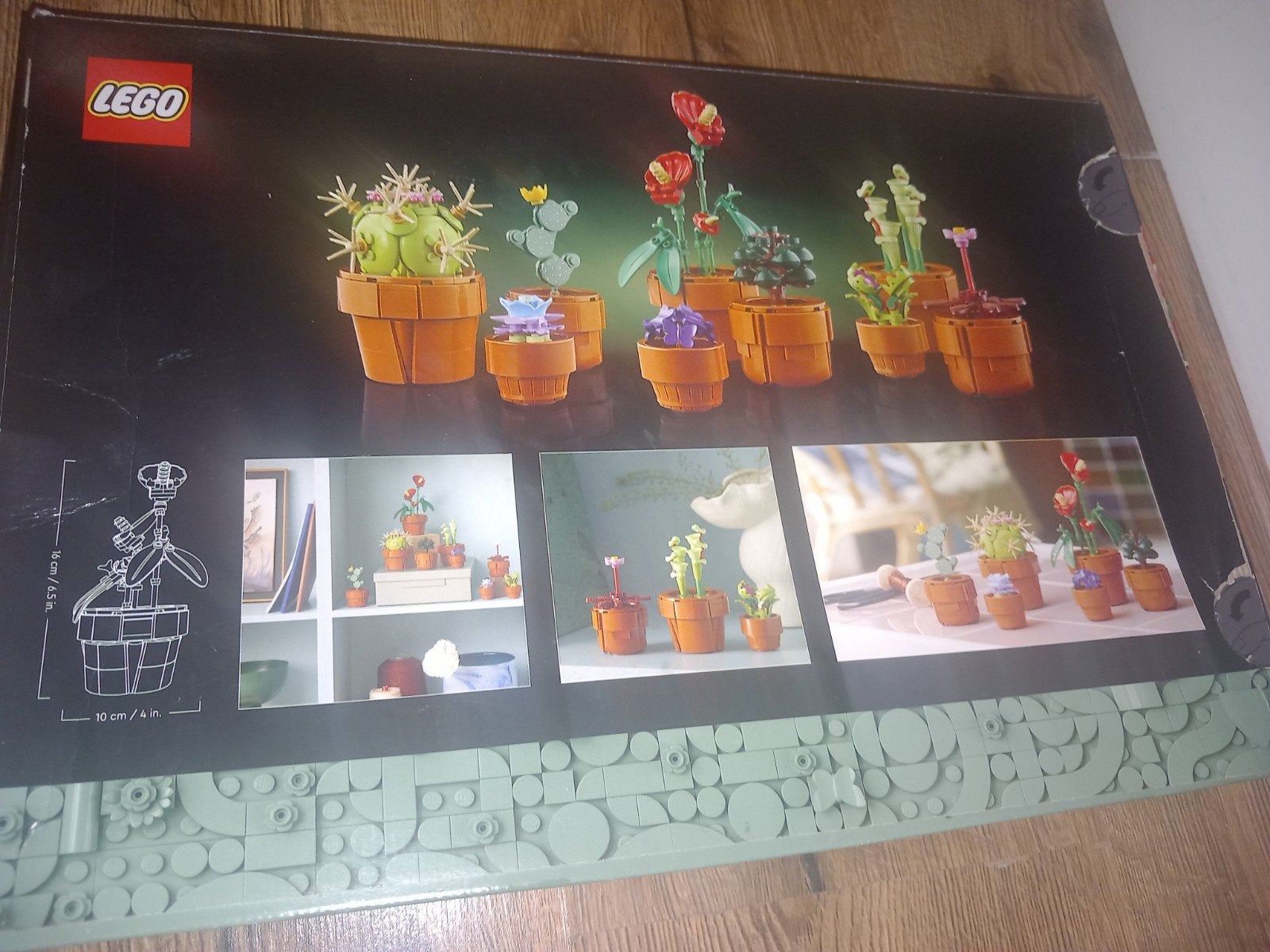 LEGO Botanische Collectie - Cactussen en Vetplanten (Gebruik, Kinderen en Baby's, Speelgoed | Duplo en Lego, Gebruikt, Overige thema's