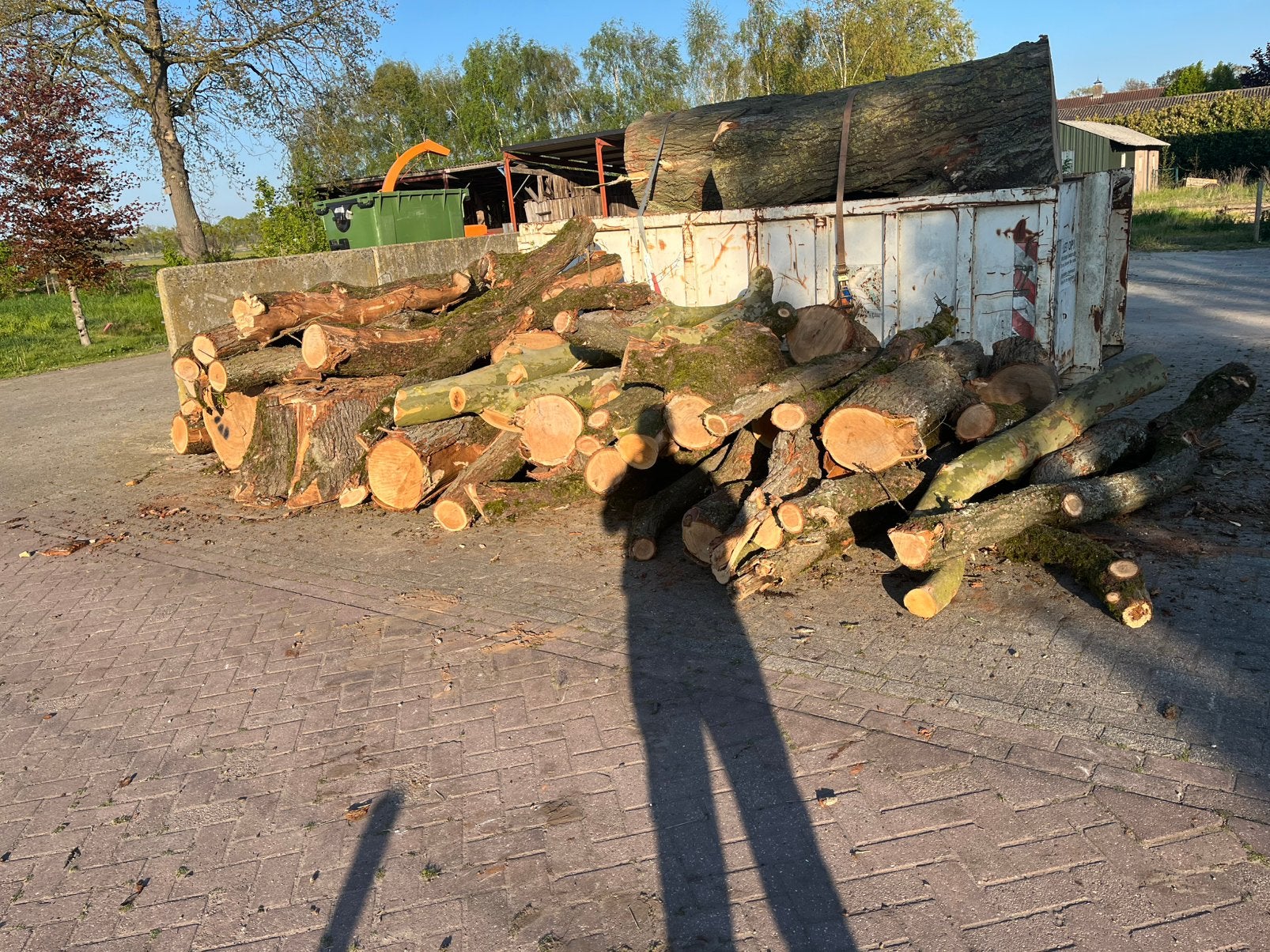 Haardhout stamhout, Tuin en Terras, Haardhout, Minder dan 3 m³, Ophalen of Verzenden