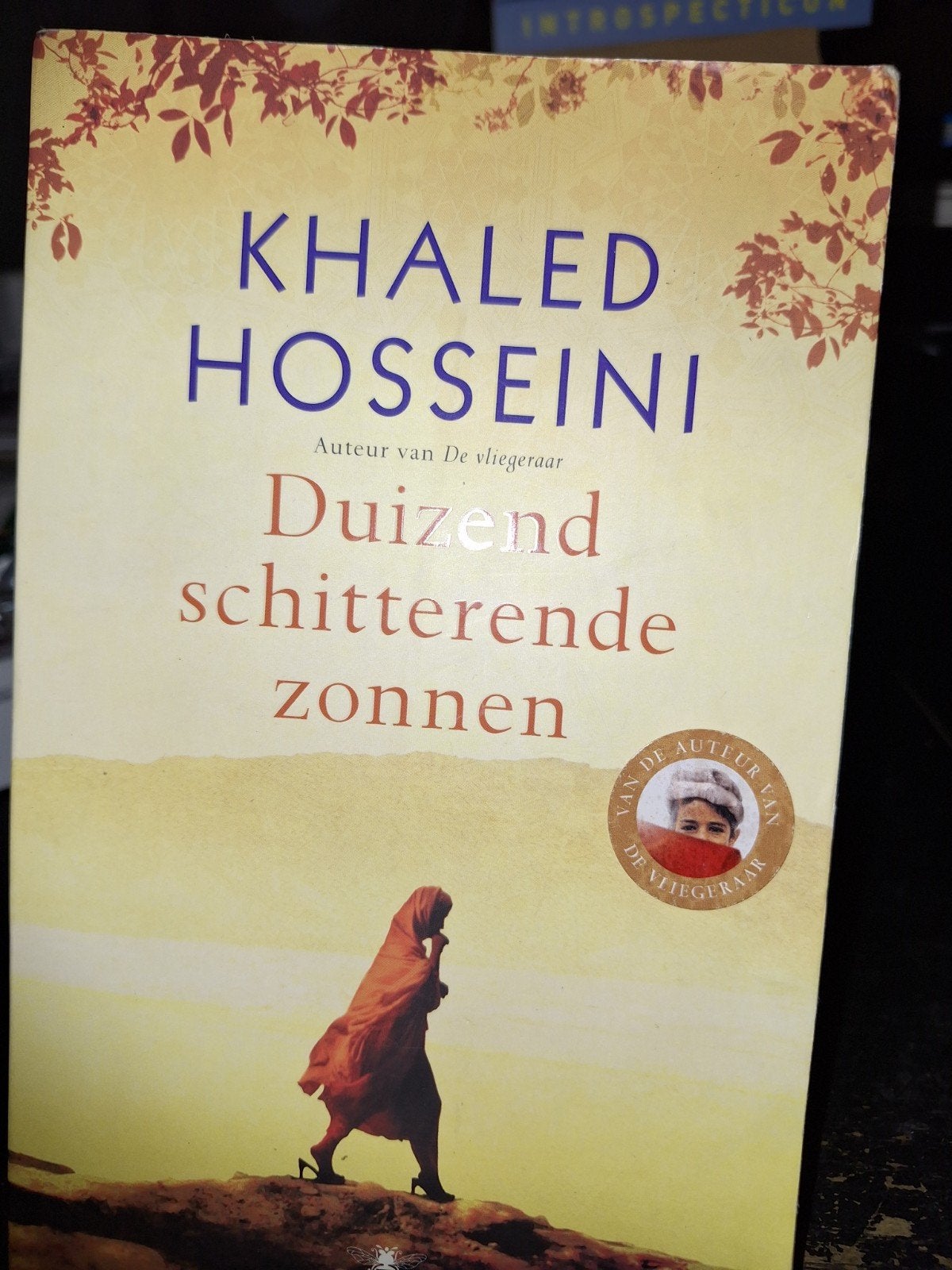Duizend schitterende zonnen, Ophalen of Verzenden, Zo goed als nieuw