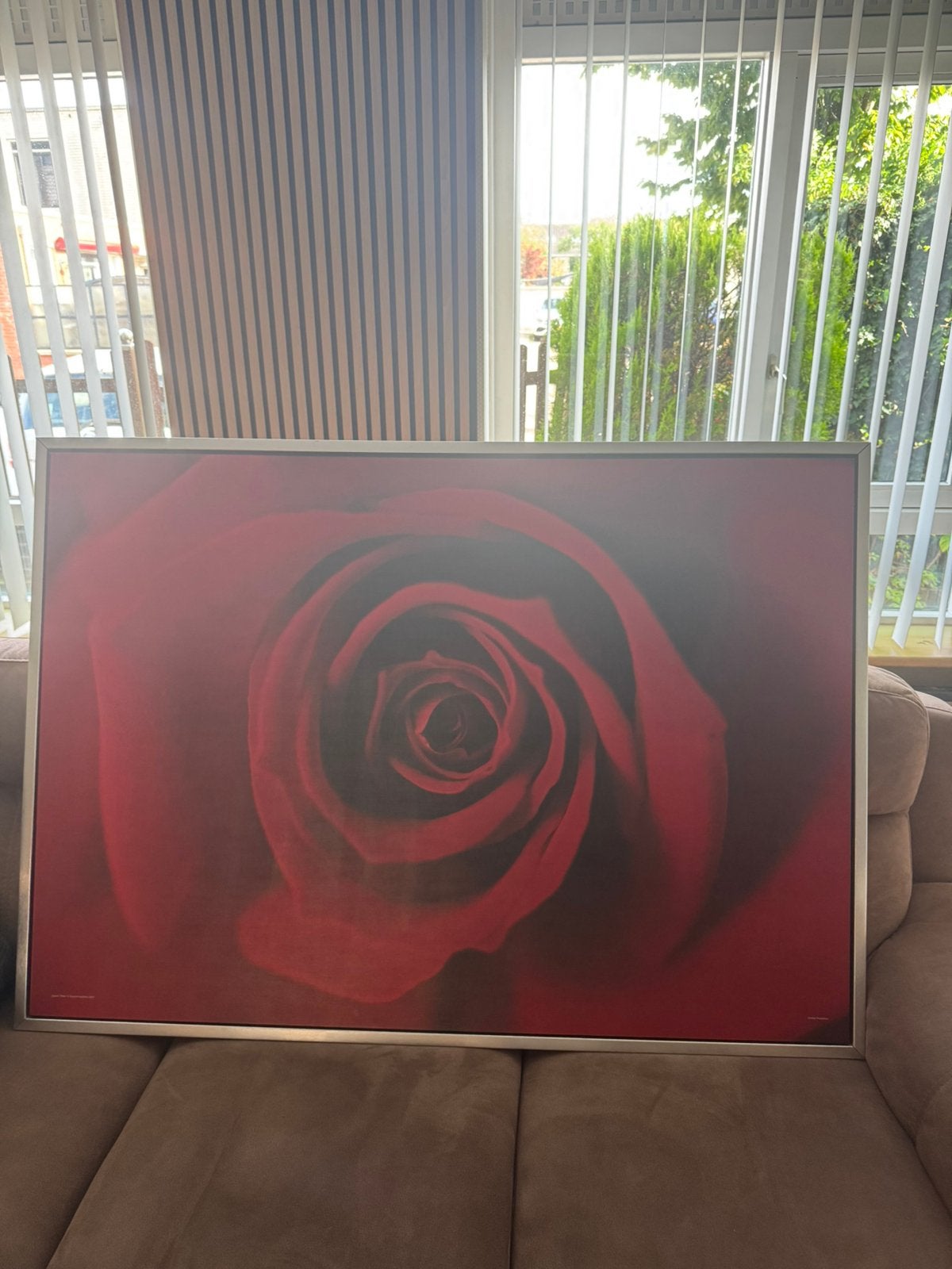 Mooi schilderij rode roos (ikea) 140x100, Ophalen