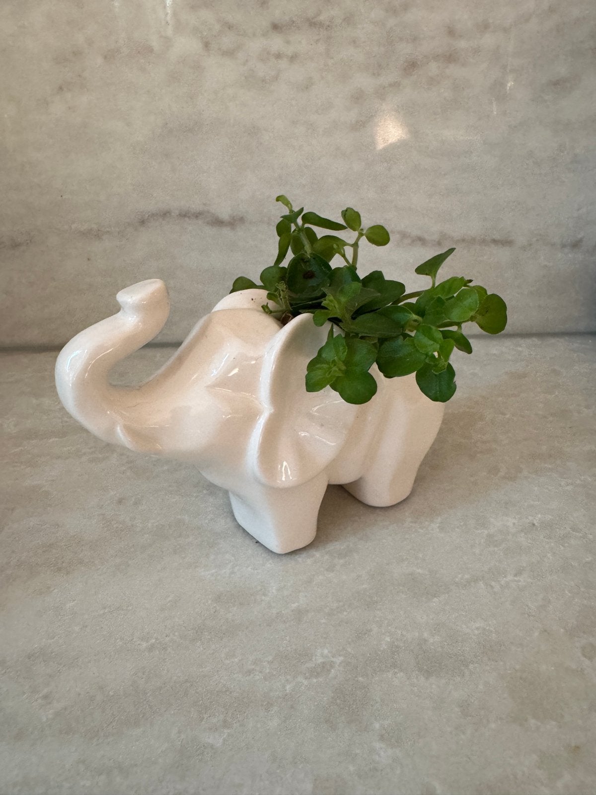 Schattig olifant bloempotje - In zeer goede staat, Huis en Inrichting, Ophalen of Verzenden, Zo goed als nieuw, Wit, Steen/keramiek