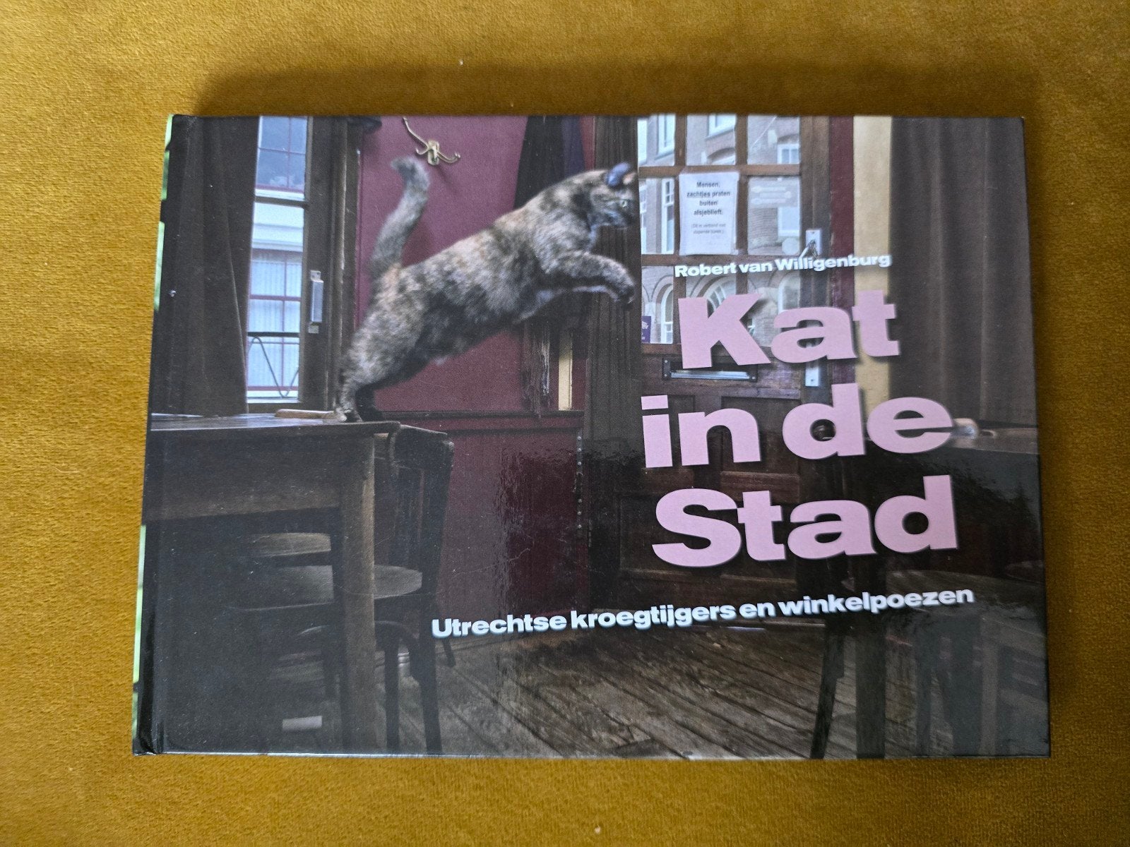 Kat in de Stad: Utrechtse kroegtijgers en winkelpoezen, Ophalen of Verzenden, Katten