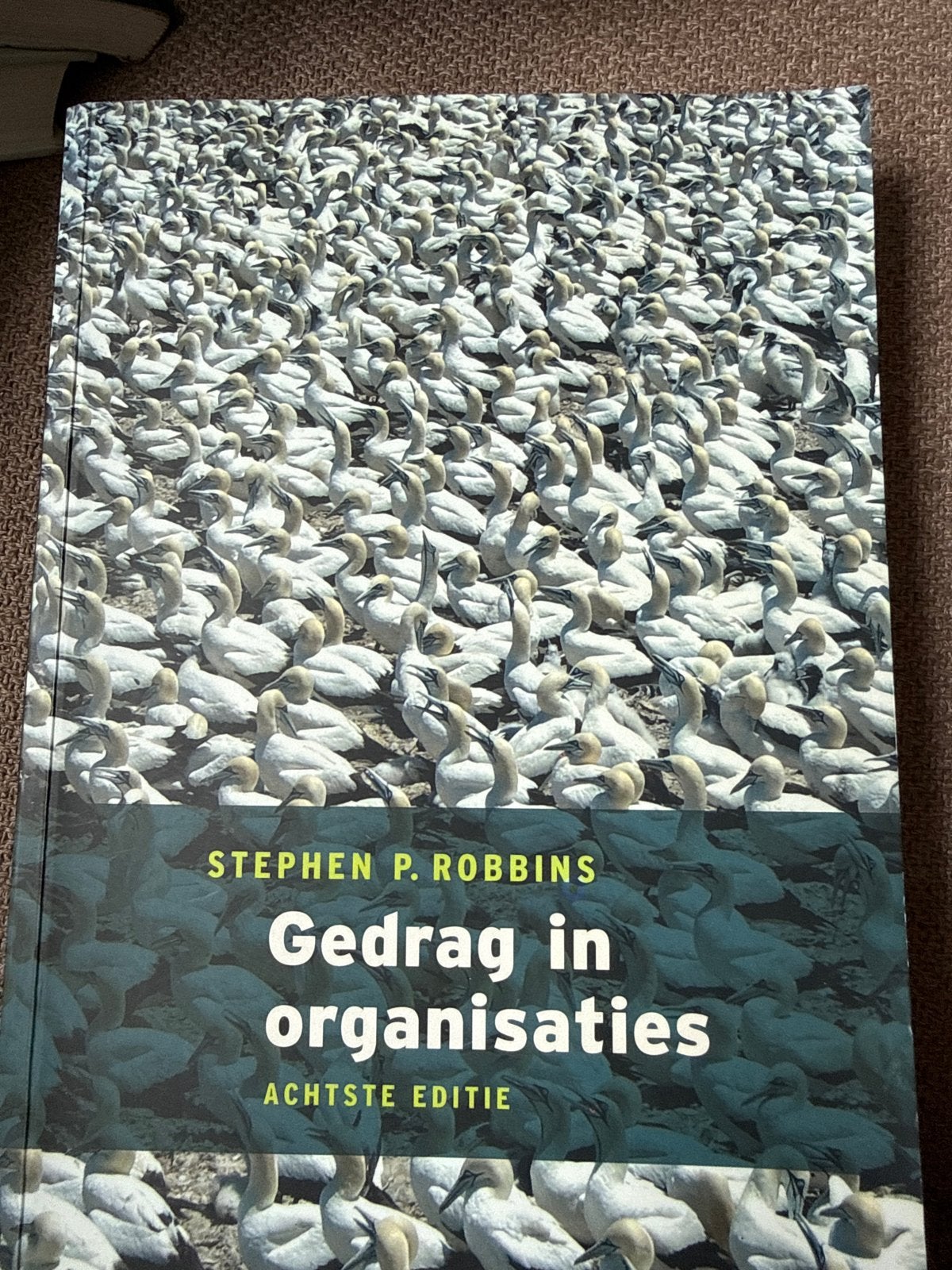 Gedrag in organisaties - Stephen P. Robbins (8e editie), Boeken, Ophalen of Verzenden, Gamma, Zo goed als nieuw, HBO