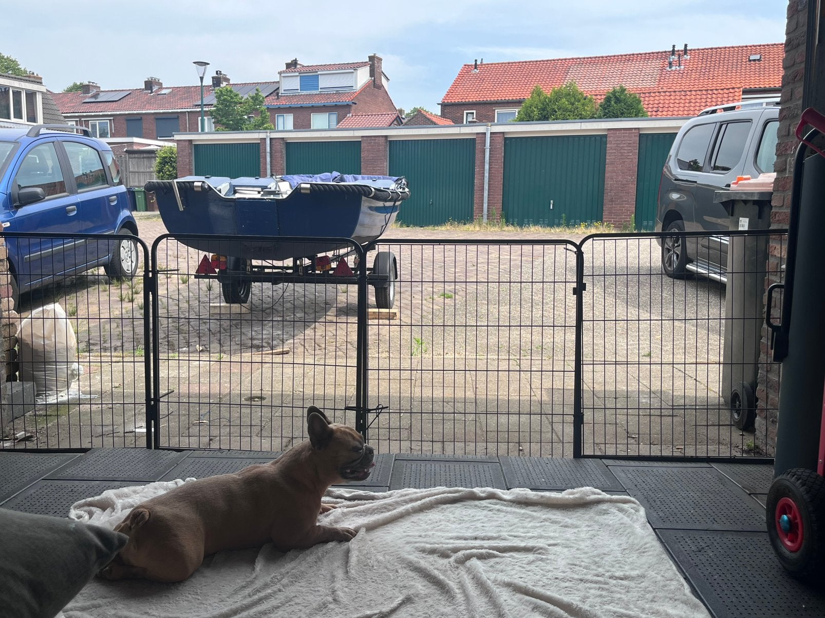 Puppyren 32 stuks alles in 1 keer !, Ophalen of Verzenden, IJzer