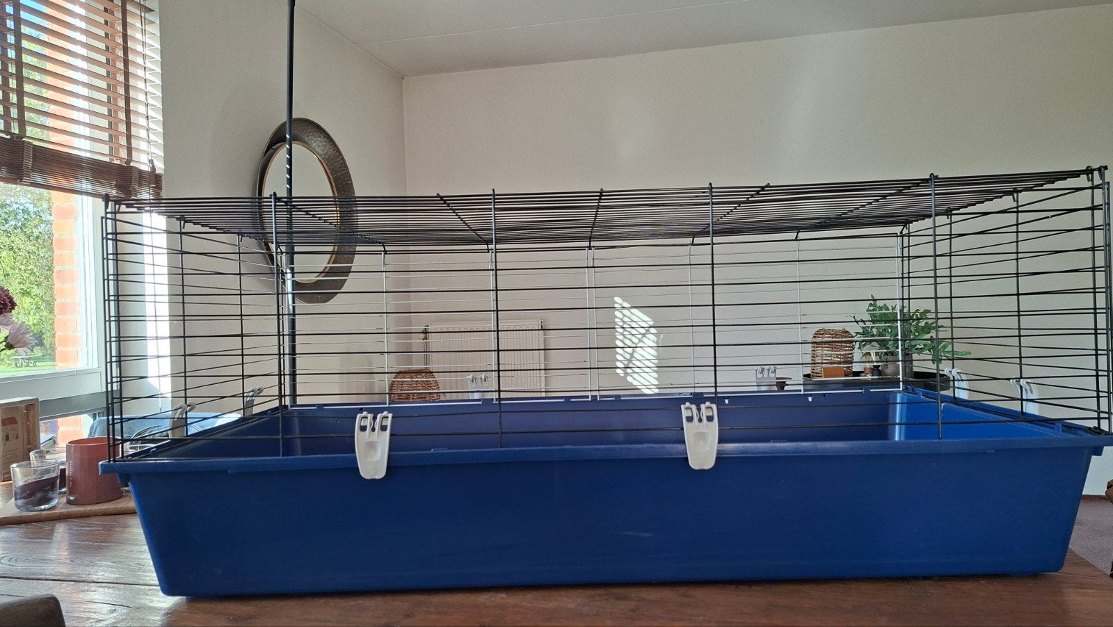 Groot konijnenhok met veel toebehoren., Dieren en Toebehoren, Knaagdieren en Konijnen | Hokken en Kooien, Ophalen, 110 cm of meer