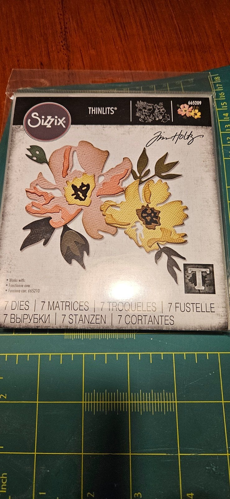 NIEUWE: Sizzx 666209 thinlits van Tim Holts, Verzenden, Nieuw, Frame of Mal, Sizzix