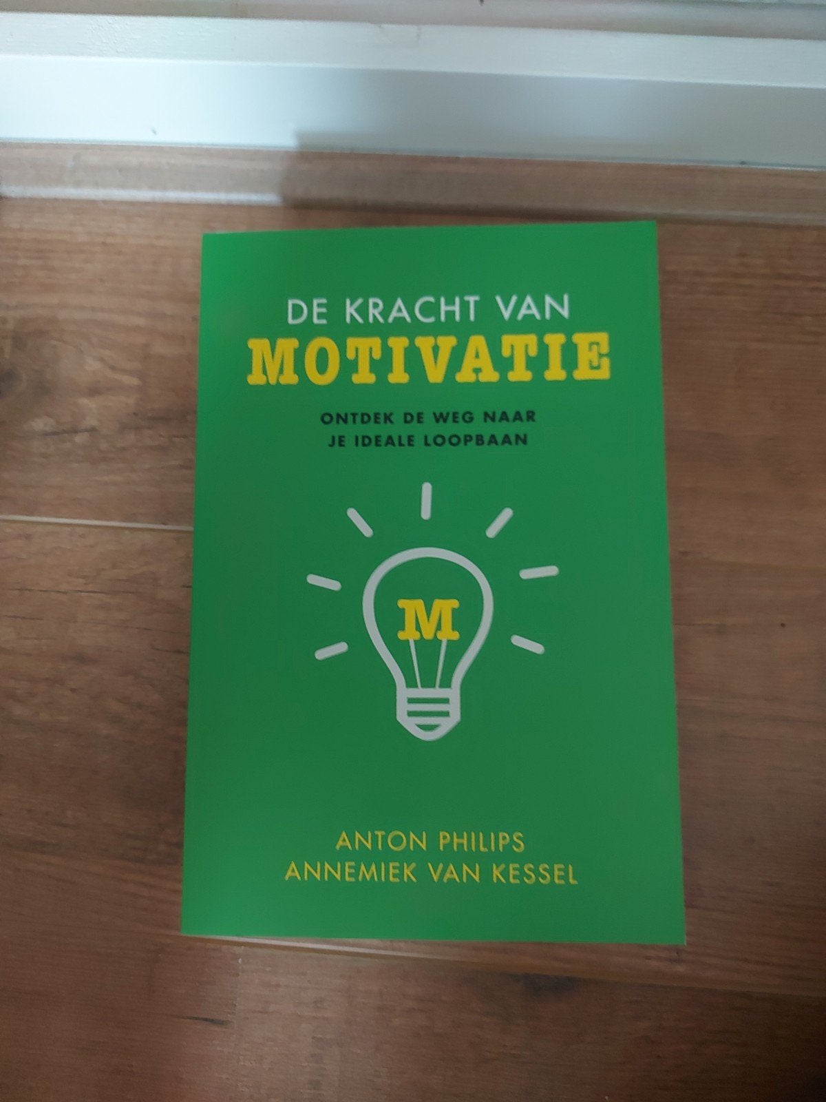 De Kracht van Motivatie: Ontdek je Ideale Loopbaan, Boeken, Verzenden, Zo goed als nieuw, Anton Philips, Annemiek van Kessel