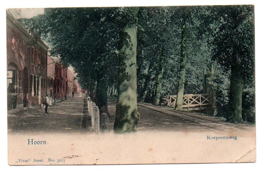Hoorn Koepoortsweg 1903 (Vivat 3513), Ophalen of Verzenden, Voor 1920, Gelopen, Noord-Holland