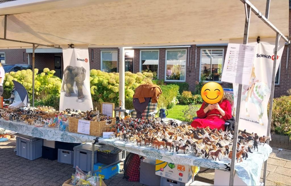 Maandag 25 mei rommelmarkt epe, Ophalen, Gebruikt