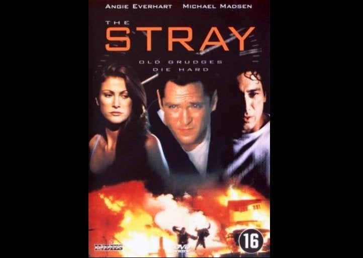 The Stray, Cd's en Dvd's, Dvd's | Thrillers en Misdaad, Zo goed als nieuw, Actiethriller, Vanaf 16 jaar, Ophalen of Verzenden