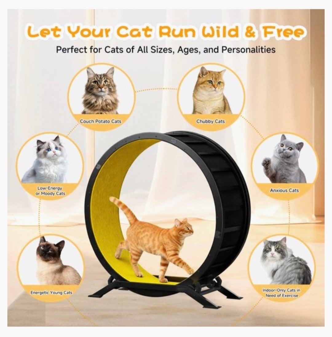 Running wheel for cats., Ophalen