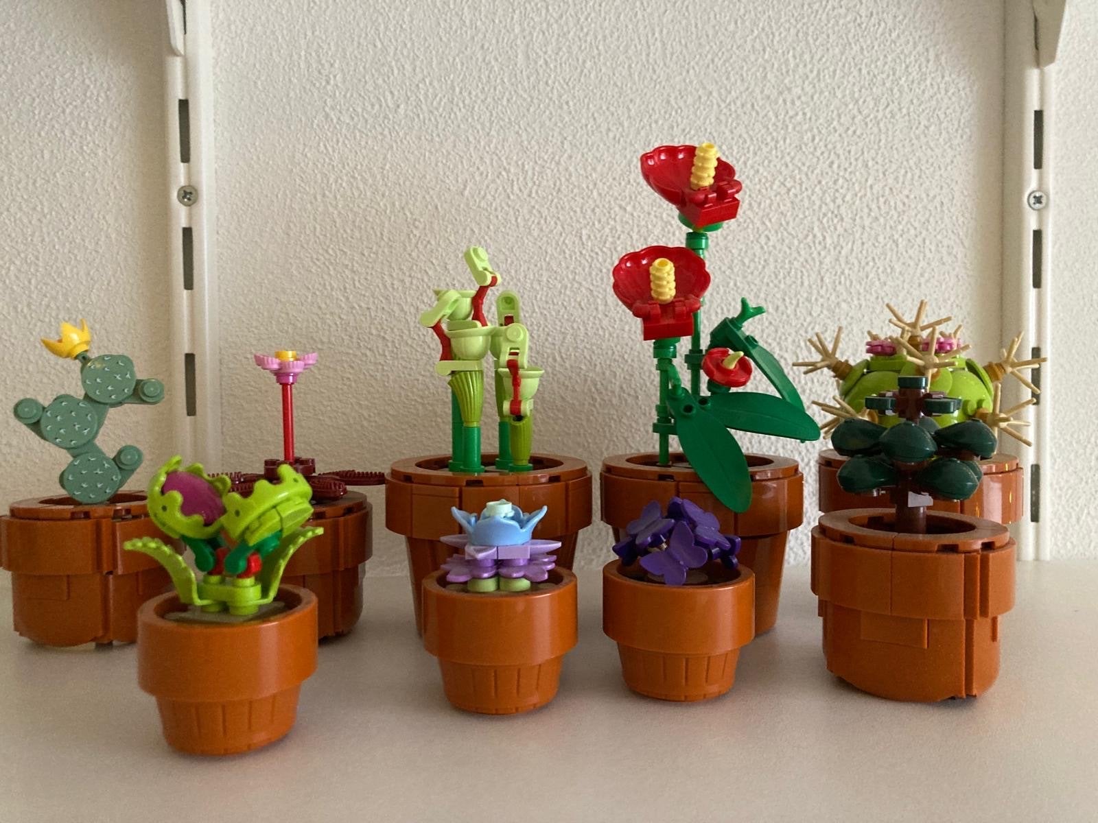 LEGO Botanische Collectie: Diverse Planten en Bloemen, Ophalen of Verzenden, Zo goed als nieuw, Overige merken