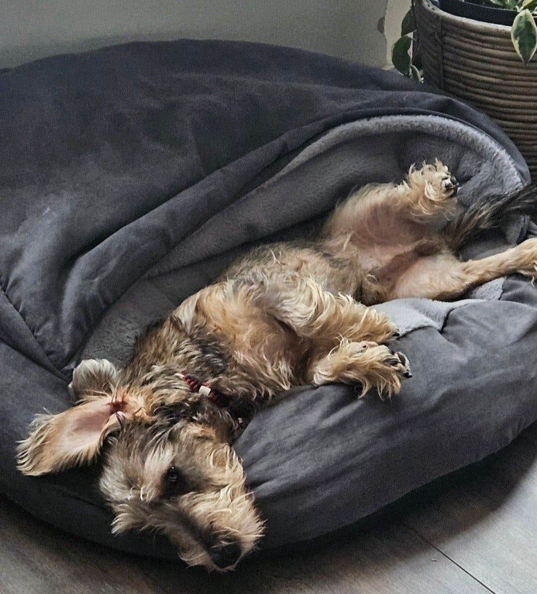 honden slaapzak/ iglo, Dieren en Toebehoren, Ophalen of Verzenden, Zo goed als nieuw