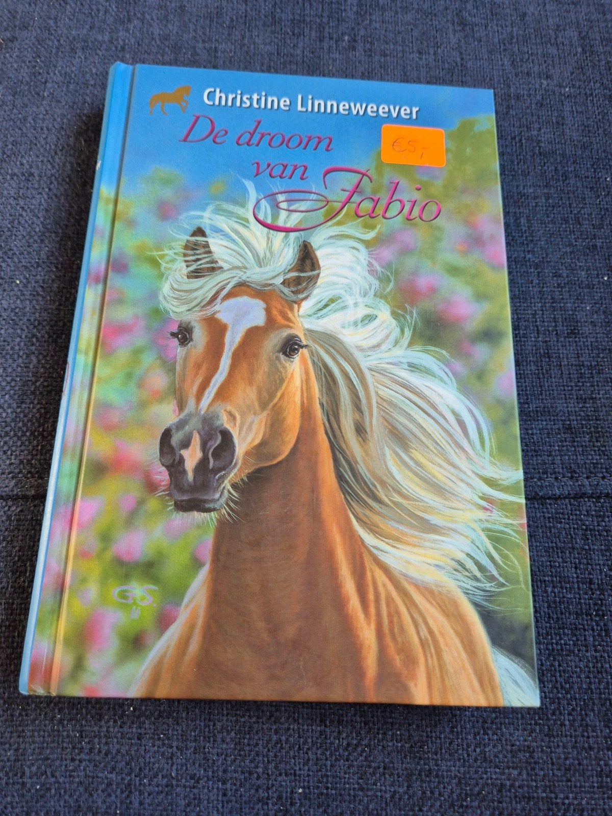 De droom van Fabio - Christine Linneweever (Paardenboek), Boeken, Ophalen of Verzenden, Gelezen, Christine Linneweever, Fictie