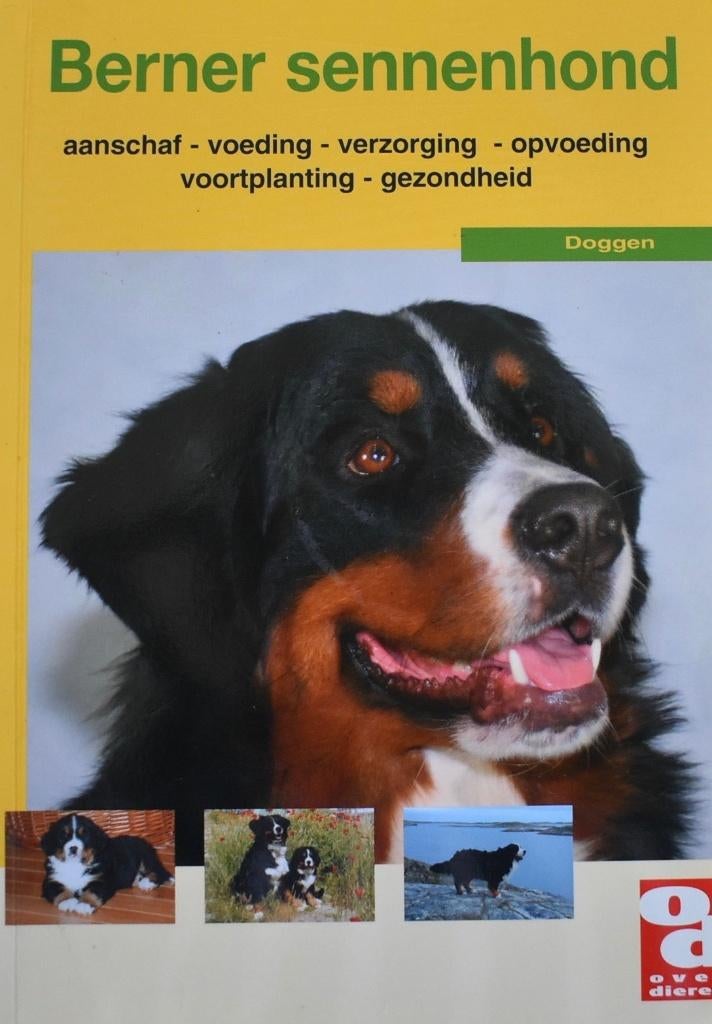 Berner Sennenhond: Aanschaf, (op)voeding, verzorging enz., Boeken, Ophalen of Verzenden, Zo goed als nieuw, Honden