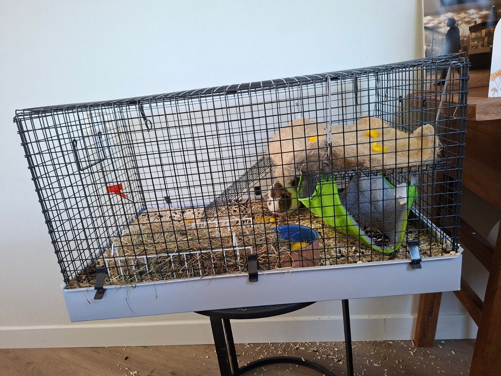Knaagdierenkooi in goede staat, Dieren en Toebehoren, Kooi, Zo goed als nieuw, 75 tot 110 cm, Ophalen