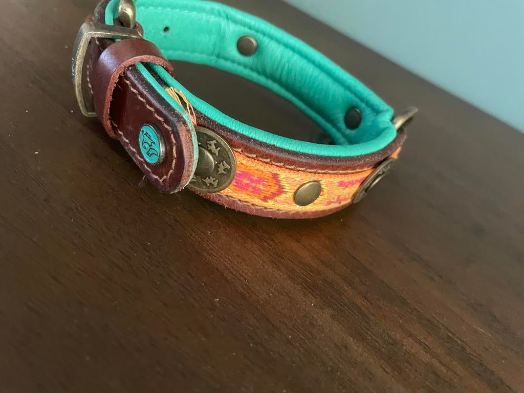 Dog with a mission honden halsband maat s, Ophalen of Verzenden, Nieuw