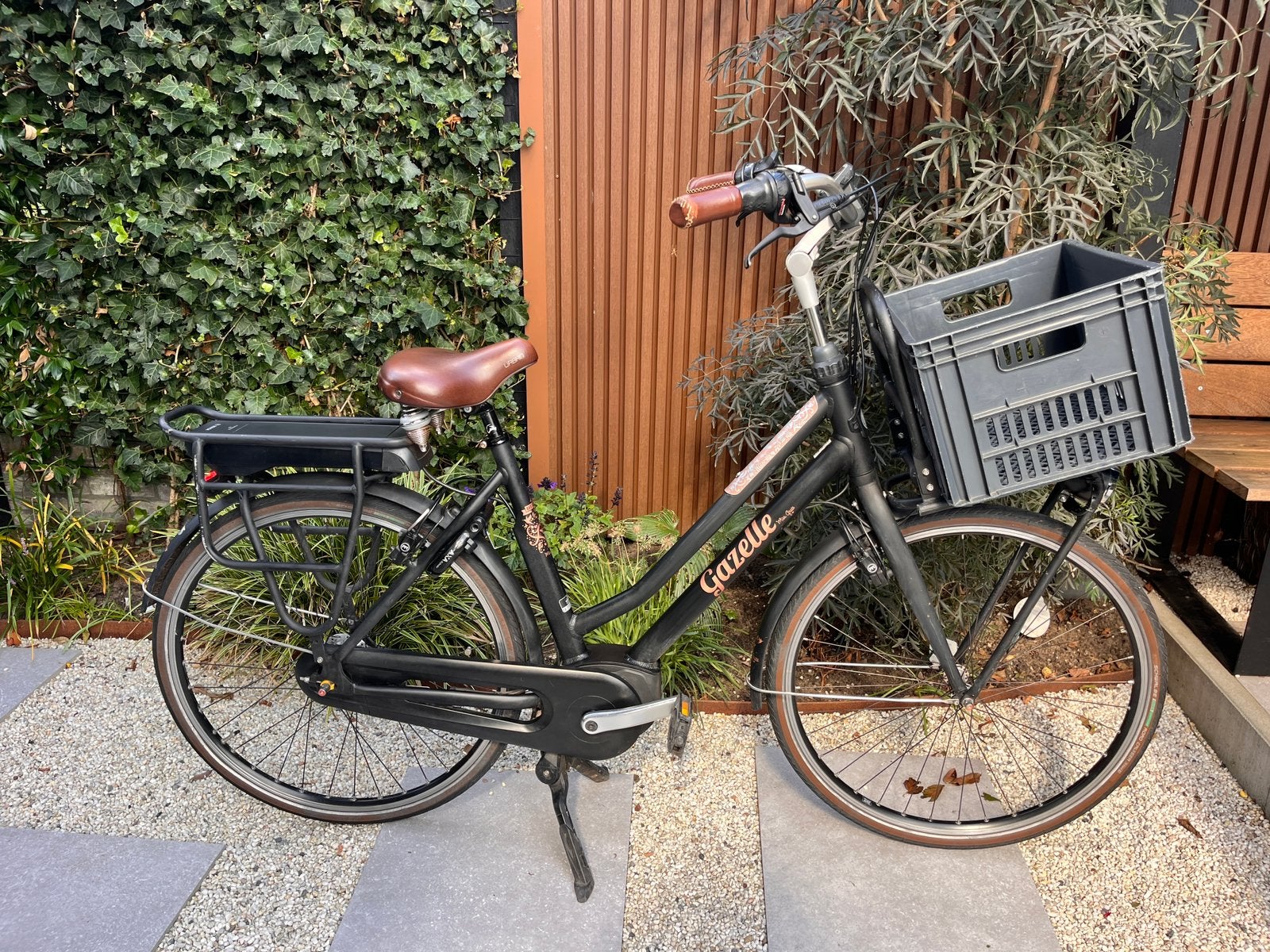 Nette Gazelle Miss Grace ebike, Fietsen en Brommers, 53 tot 56 cm, Ophalen, Zo goed als nieuw, Gazelle