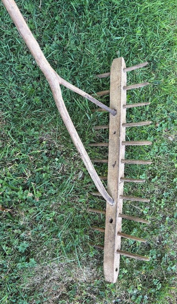 Antieke hooi hark met 12 tanden.(1x ontbreekt) 67 cm breed., Ophalen