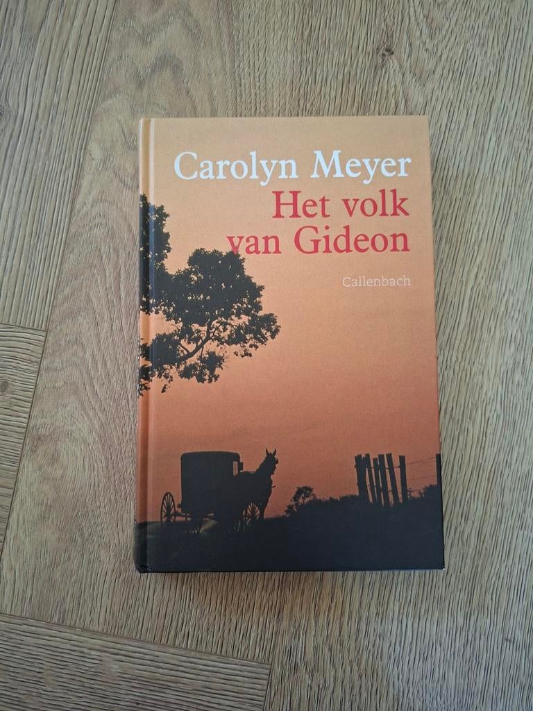 Het volk van Gideon - Carolyn Meyer - over Amish en Joden, Ophalen of Verzenden, Zo goed als nieuw, Carolyn Meyer, Nederland