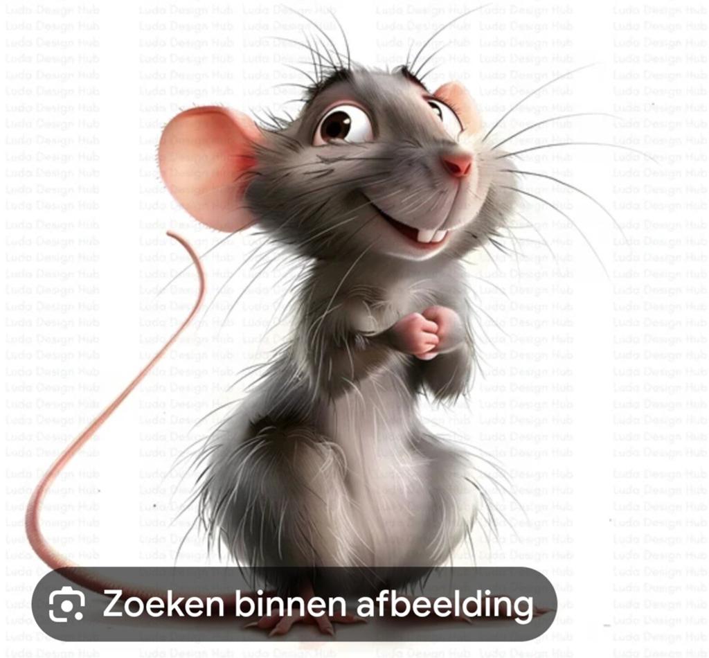 Mannelijk ratje aangeboden, Mannelijk