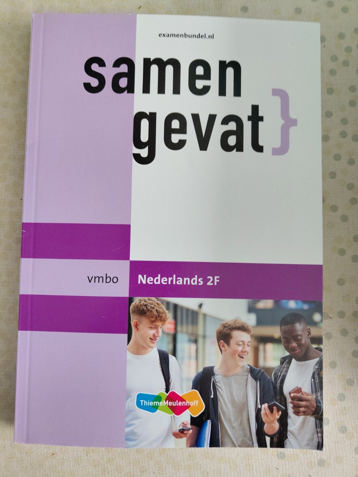 Examenbundel Samengevat Nederlands 2F VMBO 2026, VMBO, ThiemeMeulenhoff, Ophalen of Verzenden, Zo goed als nieuw