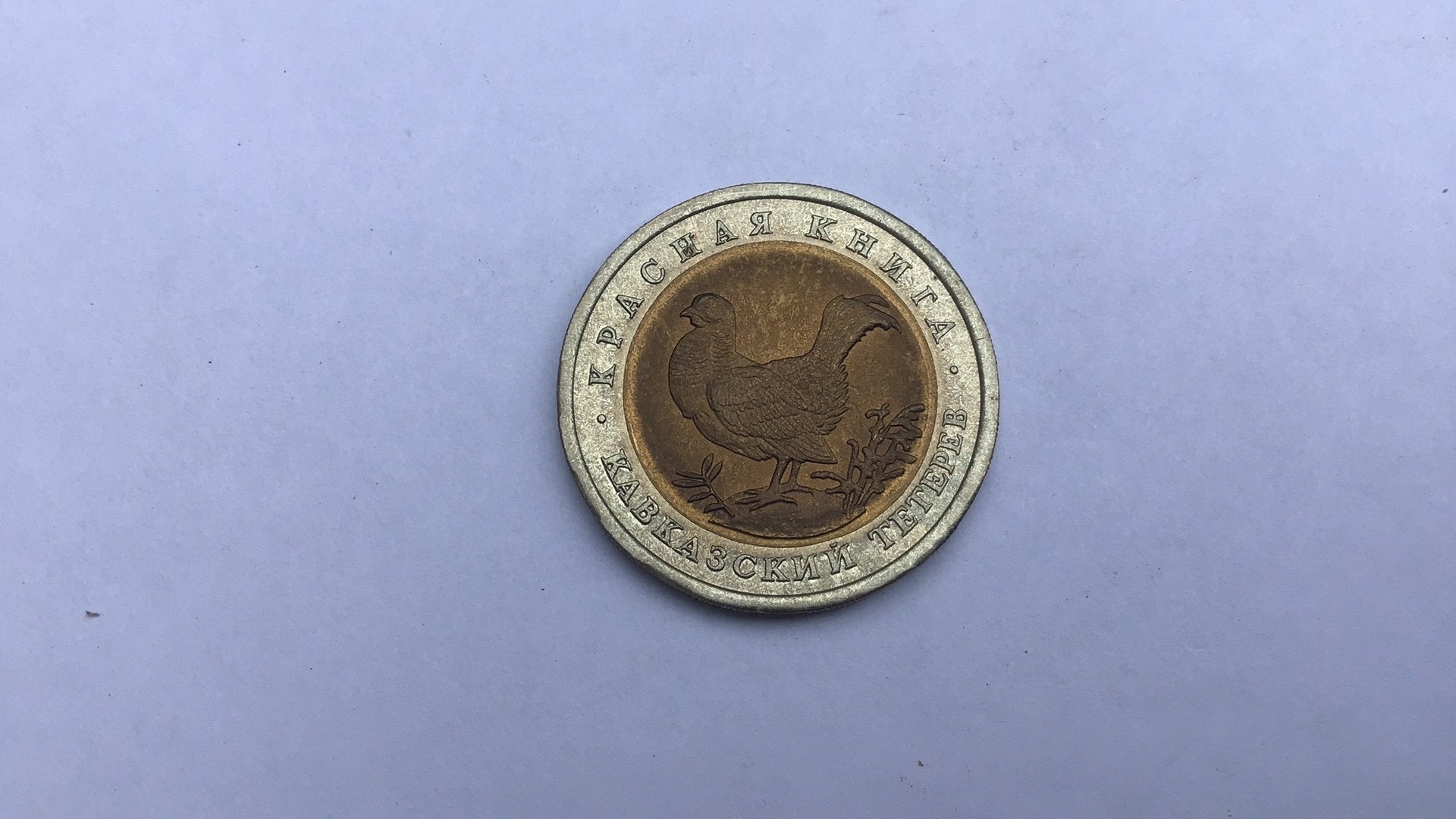 Rusland 50 roebel 1993 korhoen., Ophalen of Verzenden, Rusland
