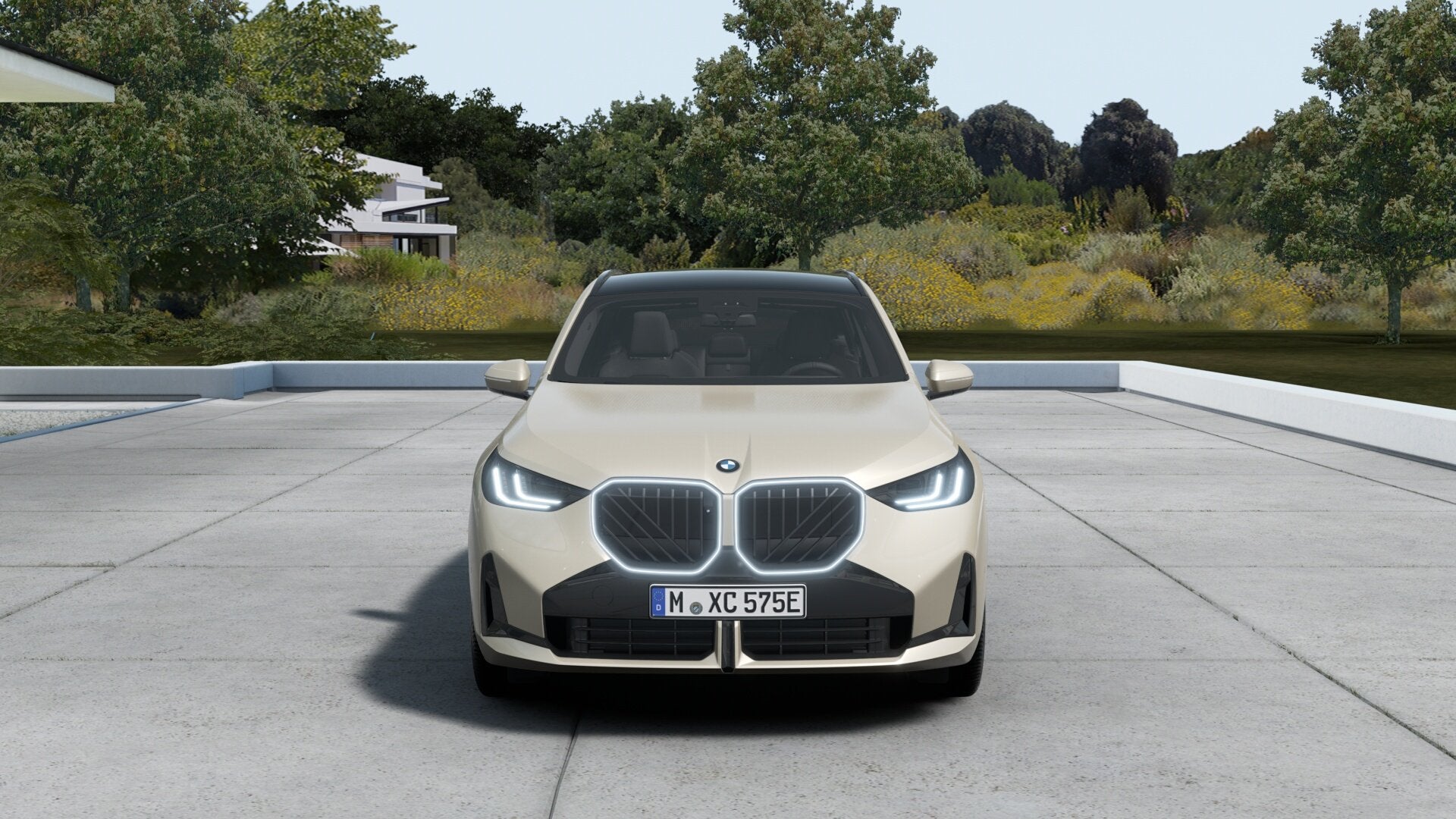 BMW X3 30e xDrive M Sport Automaat / Trekhaak / Panoramadak, Automaat, Zwart, 4 cilinders, Bedrijf