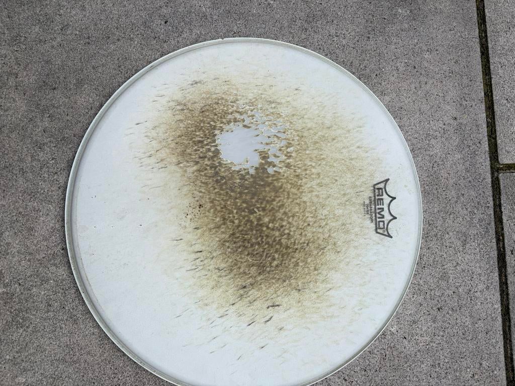 Vies reserve vel - poetsen? Remo 14” Ambassador, Ophalen, Gebruikt, Drums of Percussie