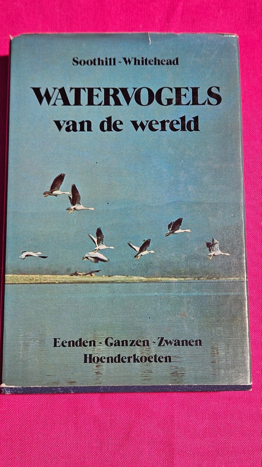 Eenden, ganzen, zwanen, Ophalen of Verzenden