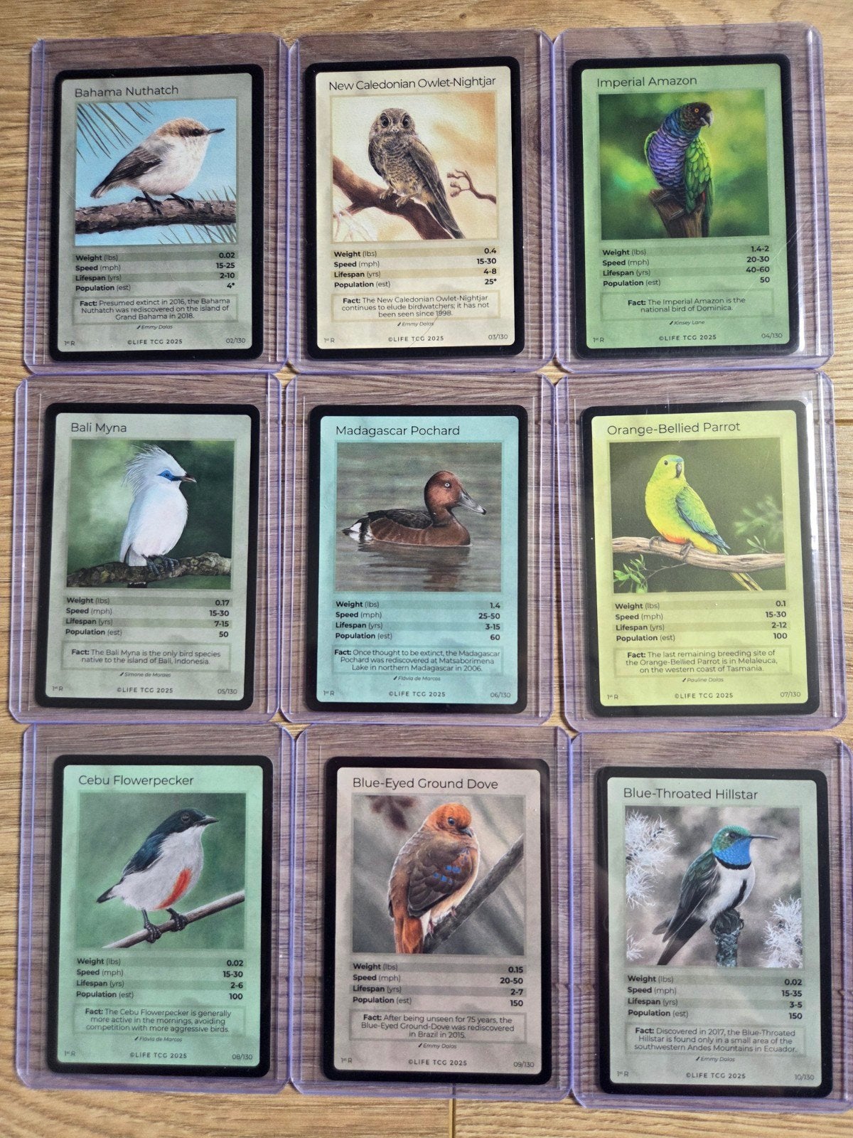 Life TCG Birds 1st edition Rare Kaarten, Verzenden, Zo goed als nieuw, Losse kaart
