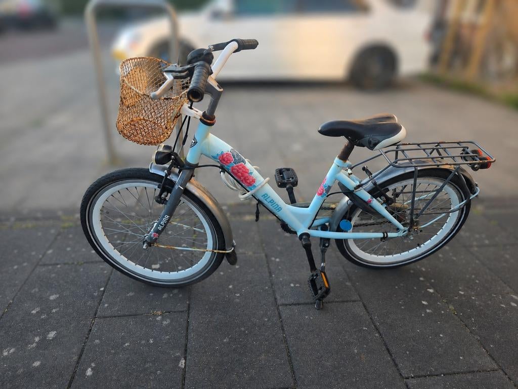 Alpina fiets 20 inch, Ophalen, Gebruikt, 20 inch