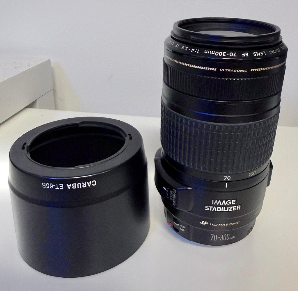 Canon EF 70-300mm f/4-5.6 IS USM, Audio, Tv en Foto, Fotografie | Lenzen en Objectieven, Ophalen, Beeldstabilisatie, Canon, Telelens