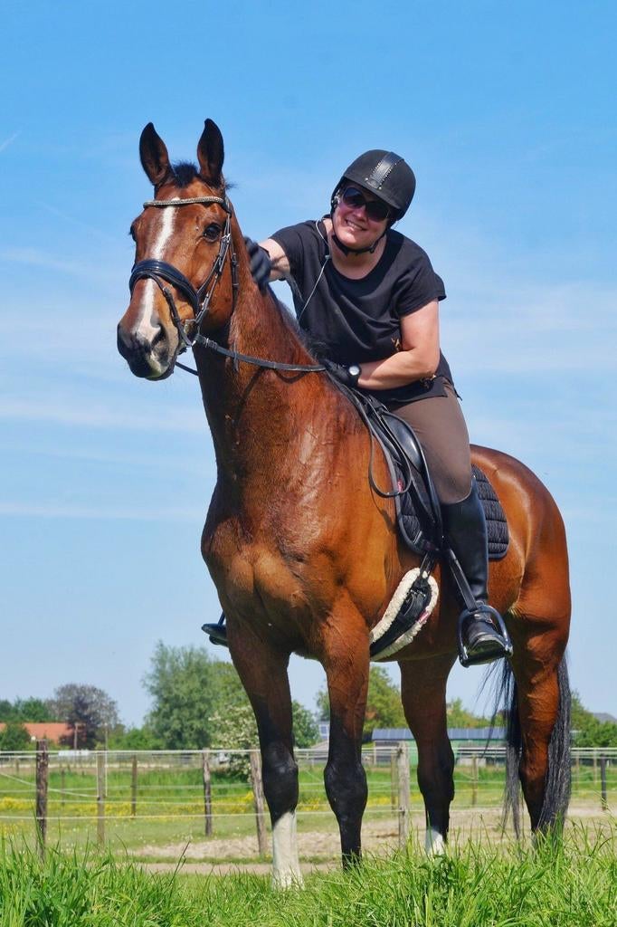 Gezocht; lief paard om te rijden (Bijrijder, verzorger), Dieren en Toebehoren, Paarden en Pony's | Overige Paardenspullen, Ophalen