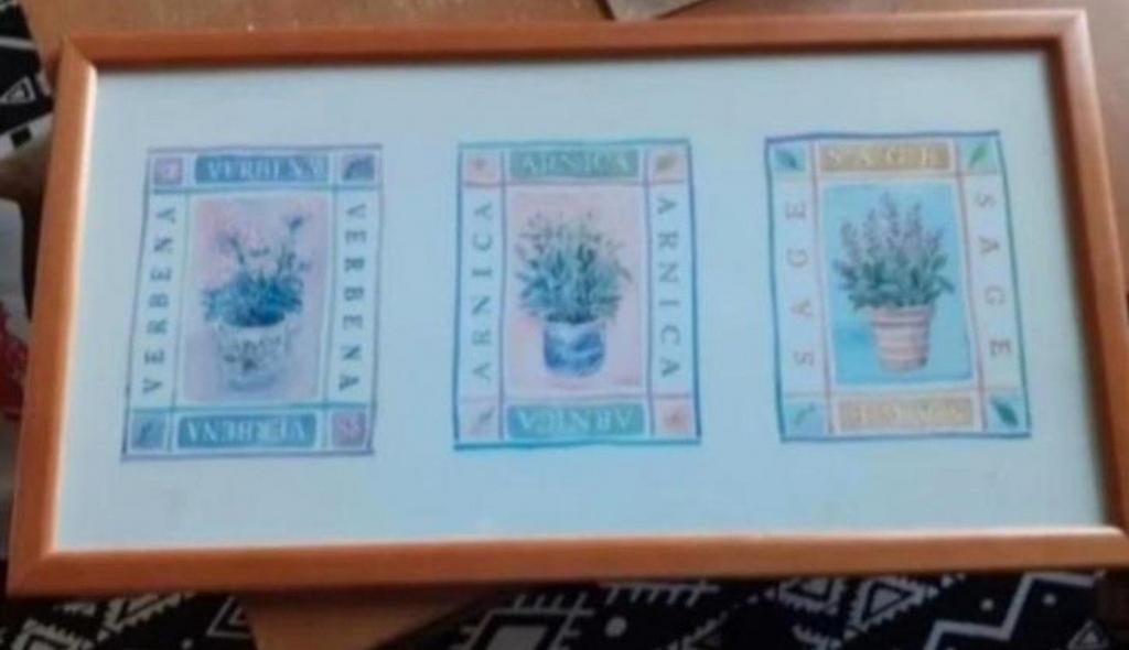 Ingelijste botanische print: Verbena, Arnica, Salie, Gebruikt, Ophalen of Verzenden, Print, 75 tot 100 cm