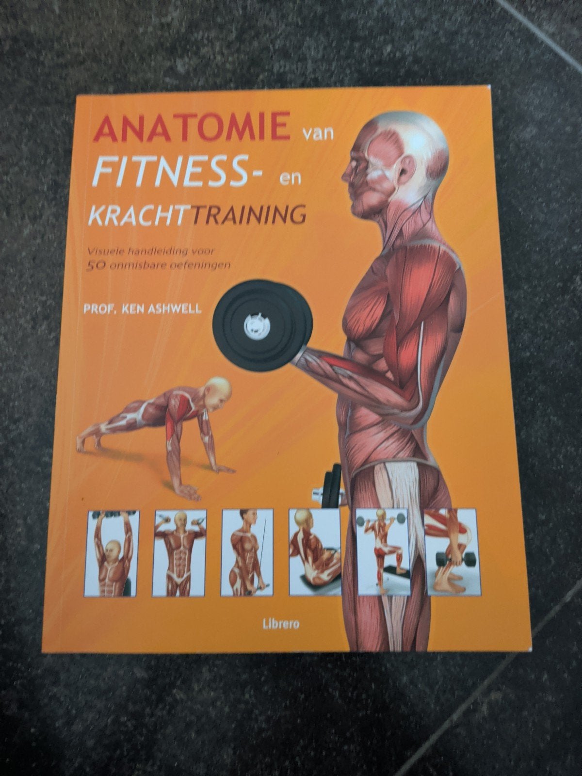 Ashwell Ken - Anatomie van fitness- en krachttraining, Ashwell Ken, Ophalen of Verzenden, Zo goed als nieuw, Balsport
